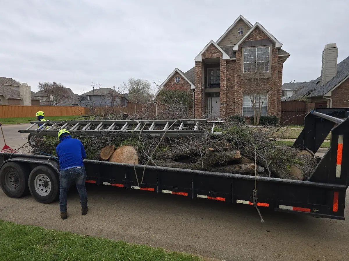 Expert Tree Fertilization with proper safety equipment in Arkoma